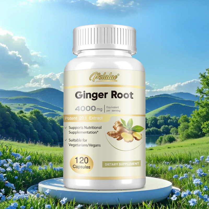 Nutrition And Exercise - Ginger Root Capsules - Promotes Digestive