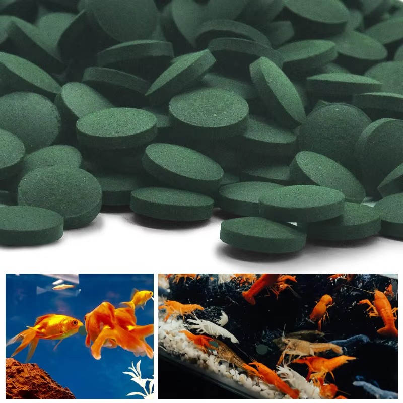 Spirulina Tablet Organic - 500/1000pcs High Purity Spirulina Tablets Spiral