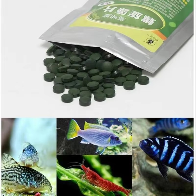 Spirulina Tablet Organic - 50-300Pcs High Purity Spirulina Tablets Spiral