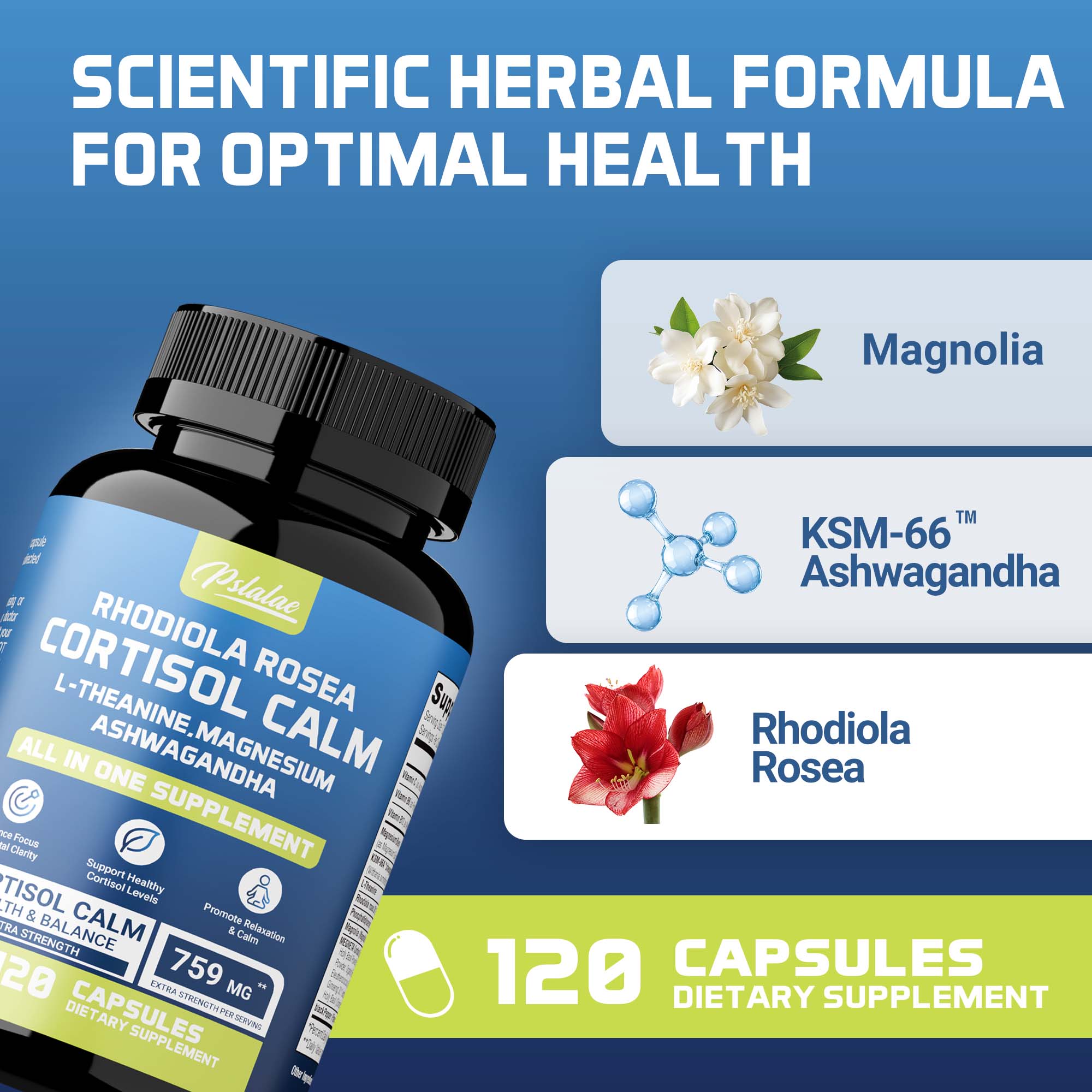 Cortisol Calm - L-Theanine Mag - Garcinia Cambogia Extract incelemesi ve fiyatı