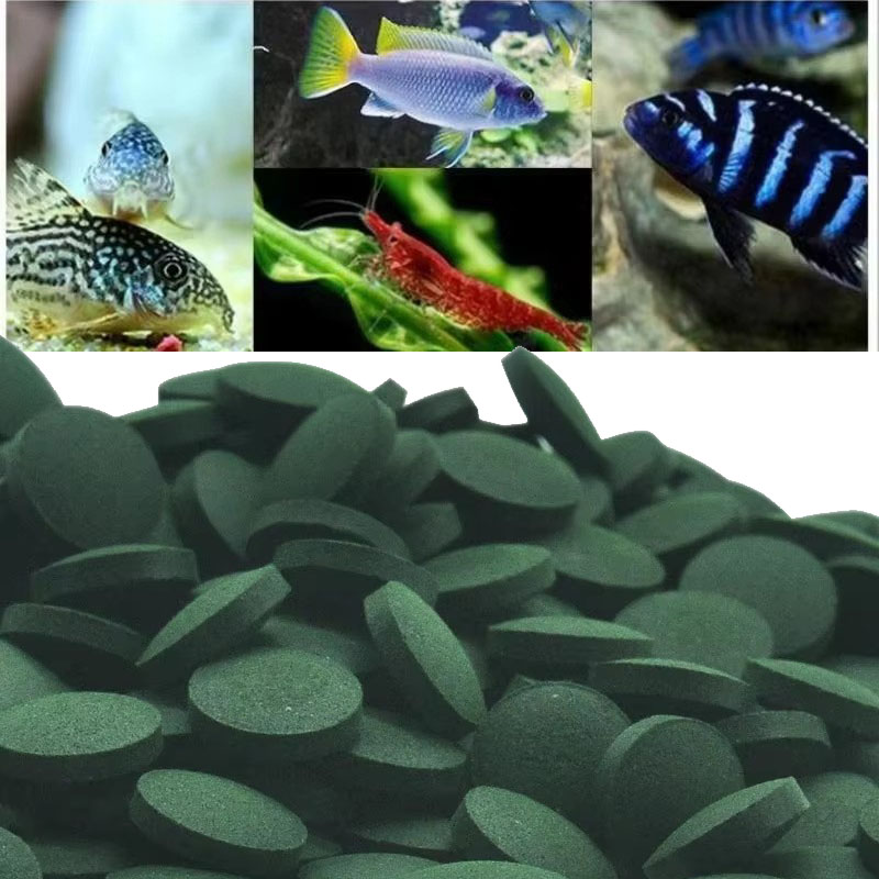 50/100/300/500pcs Spirulina Ta - Spirulina Tablet Organic incelemesi ve fiyatı