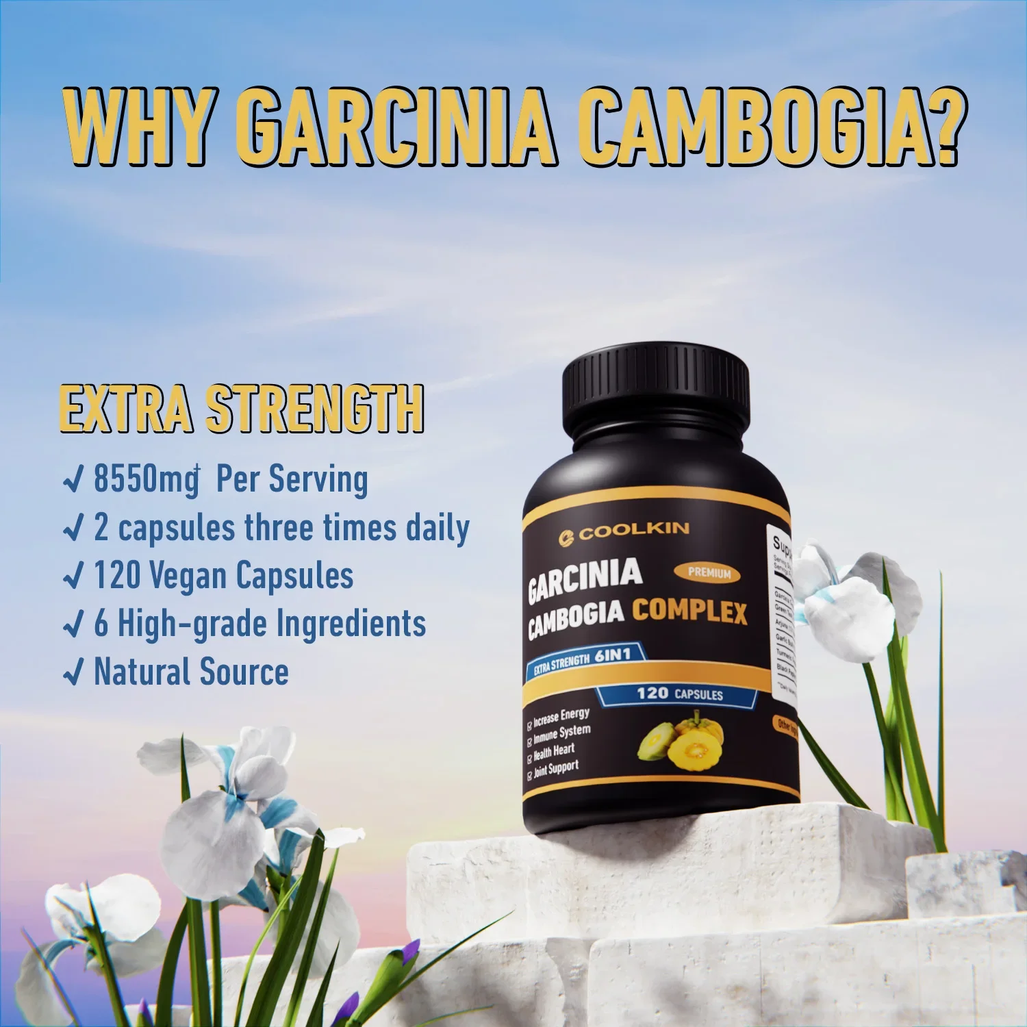 Garcinia Cambogia - Fat Burner - Garcinia Cambogia Extract incelemesi ve fiyatı