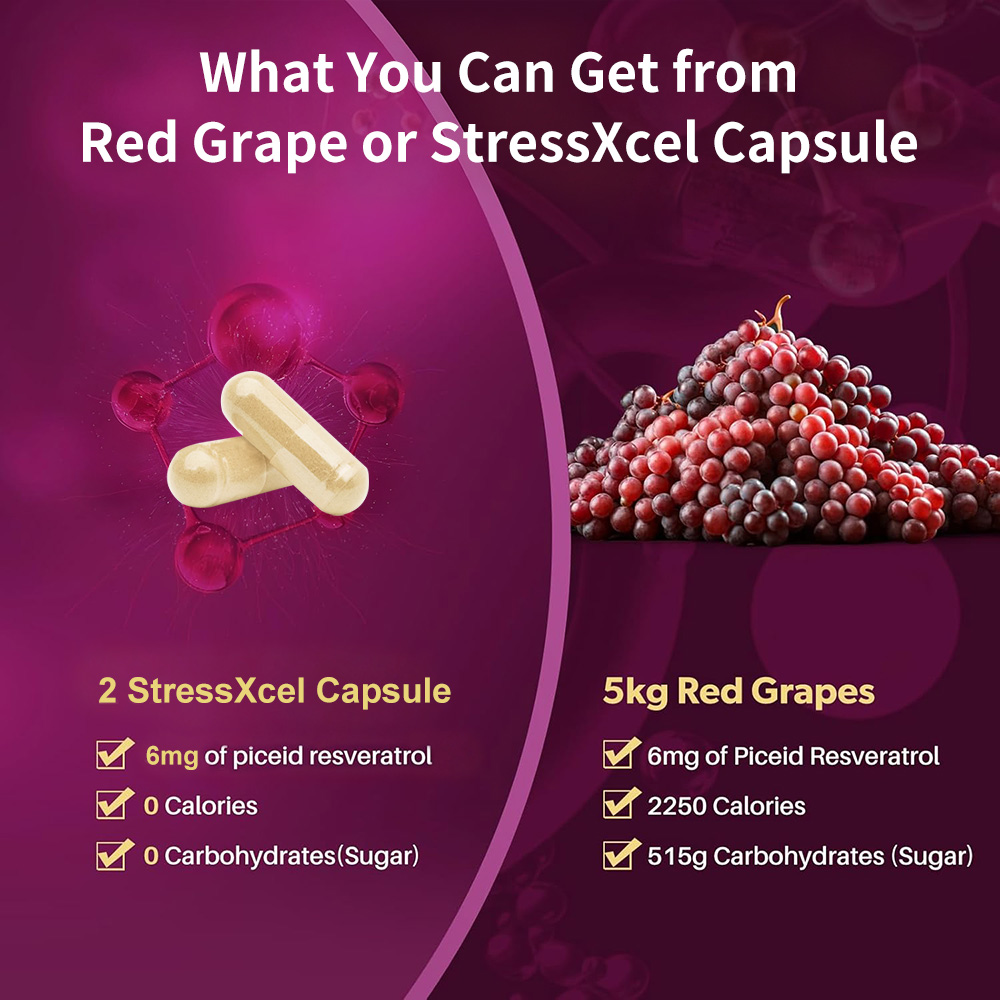 High Potency Resveratrol Suppl - Resveratrol Capsule Anti Aging incelemesi ve fiyatı