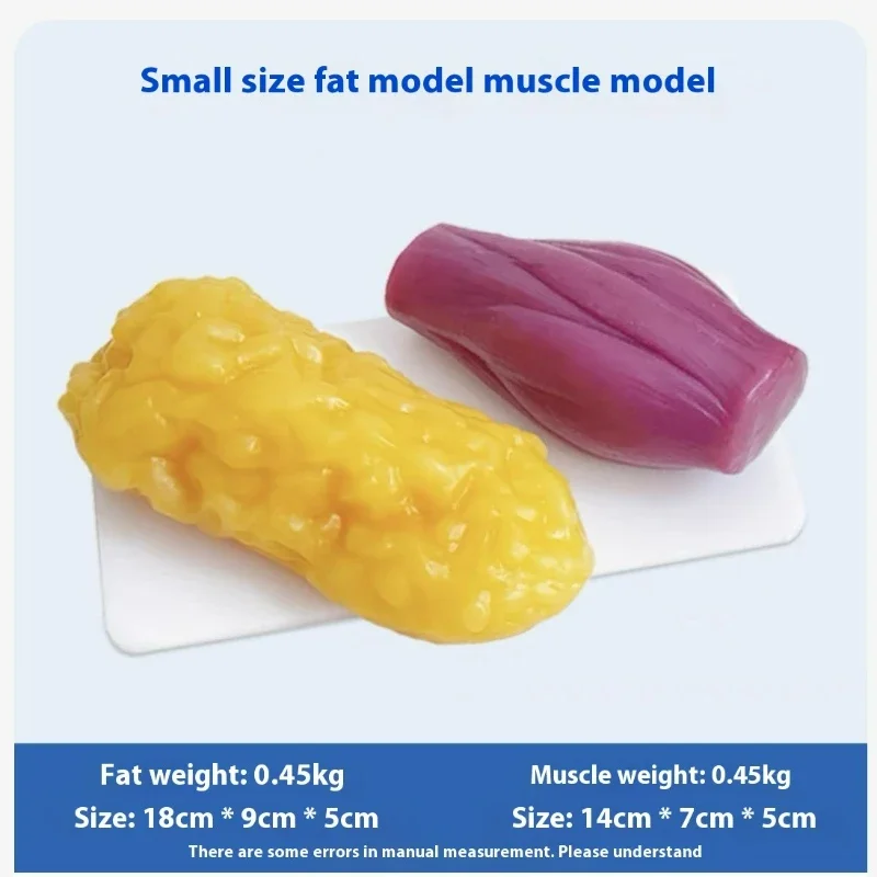Human Muscle and Fat Replicas  - Nutrition For Health Fitness & Sport Melvin Williams incelemesi ve fiyatı