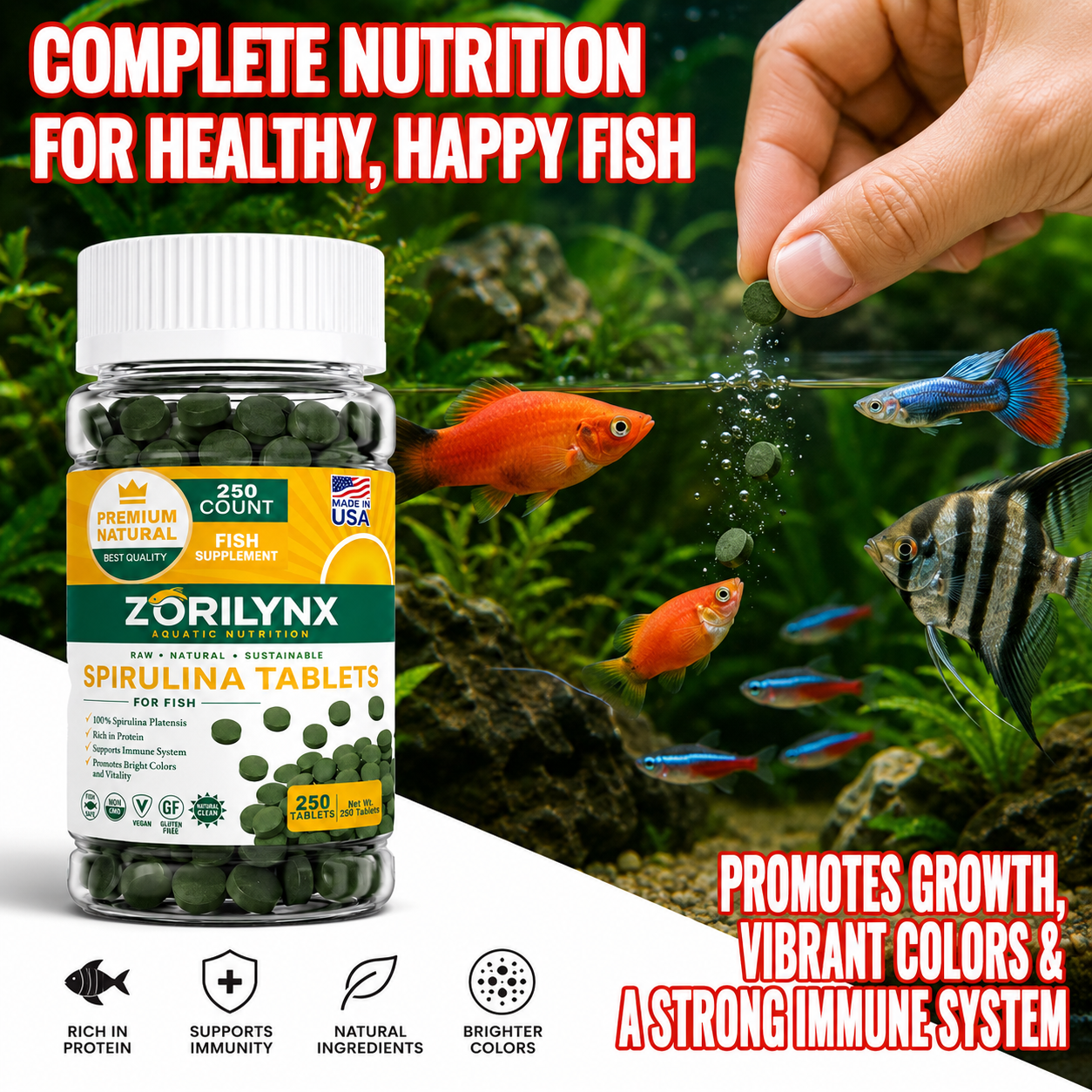 High Purity Spirulina Tablets  - Spirulina Tablet Organic incelemesi ve fiyatı