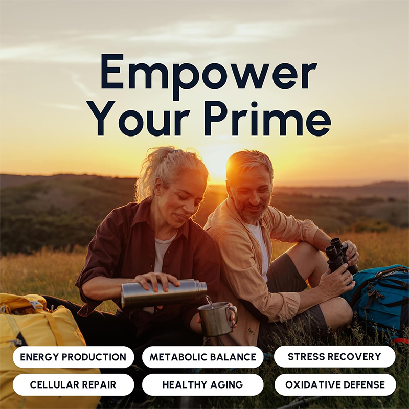 NAD supplements contain D-ribo - Resveratrol Capsule Anti Aging incelemesi ve fiyatı